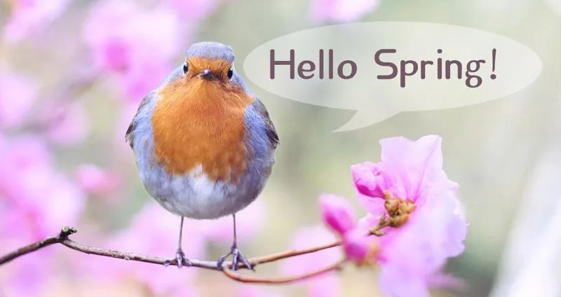 2020年春天,换一股新鲜劲,宅家更享受!