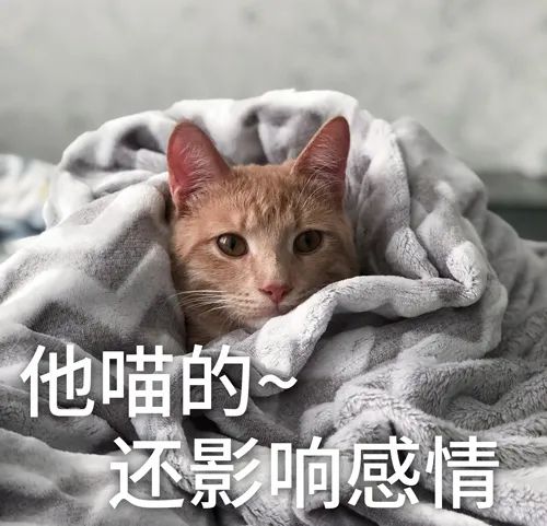 威尼斯app官网